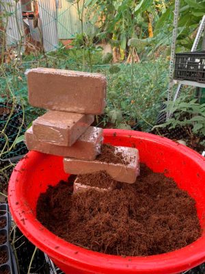 vien-nen-xo-dua-500gr-hinh-vien-gach-12