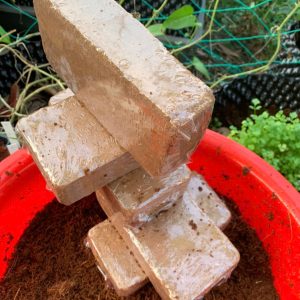 vien-nen-xo-dua-500gr-hinh-vien-gach-8