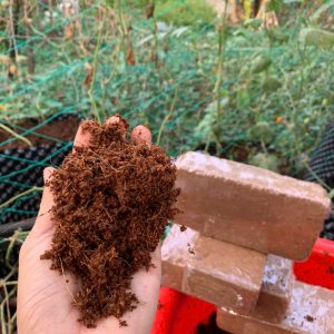 vien-nen-xo-dua-500gr-hinh-vien-gach-7