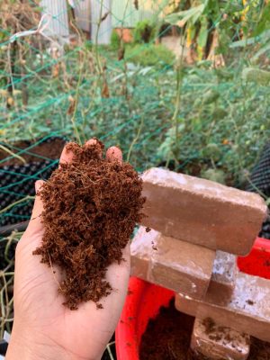 vien-nen-xo-dua-500gr-hinh-vien-gach-7