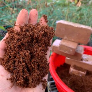 vien-nen-xo-dua-500gr-hinh-vien-gach-6