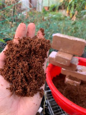 vien-nen-xo-dua-500gr-hinh-vien-gach-6