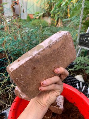 vien-nen-xo-dua-500gr-hinh-vien-gach-5